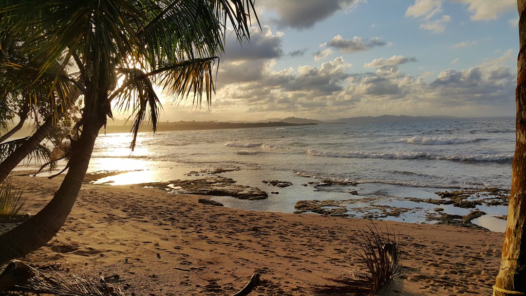 Scenic view of a tropical beach at sunset in Puerto Viejo, Costa Rica.