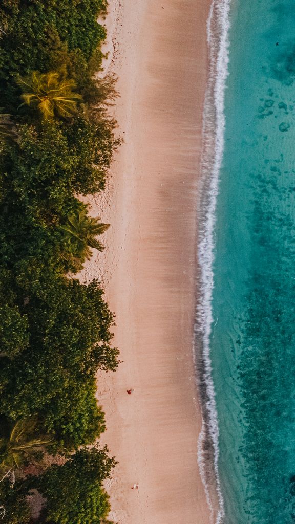 Stunning aerial view of a secluded beach in Seychelles with turquoise waters and lush greenery.
