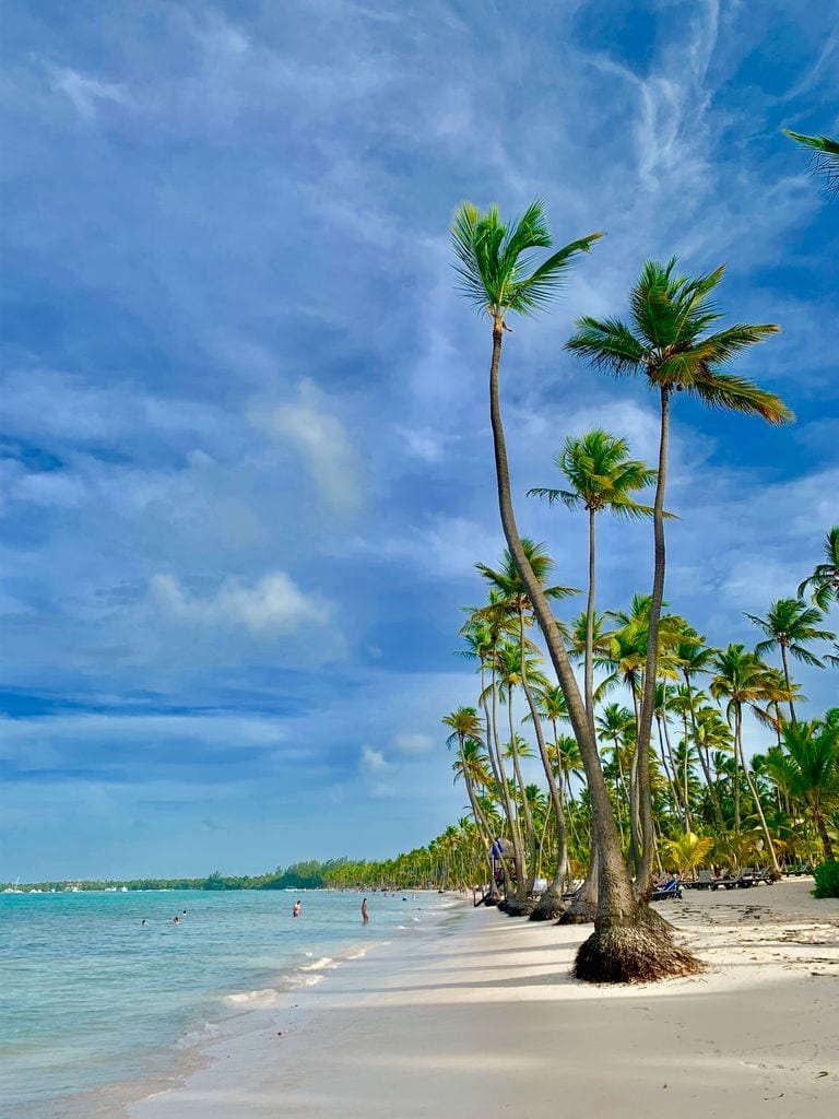 Vivid tropical beach with palm trees in Punta Cana, Dominican Republic.